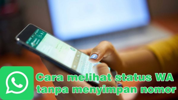 Trik Cara Melihat Status WA Tanpa Menyimpan Nomor